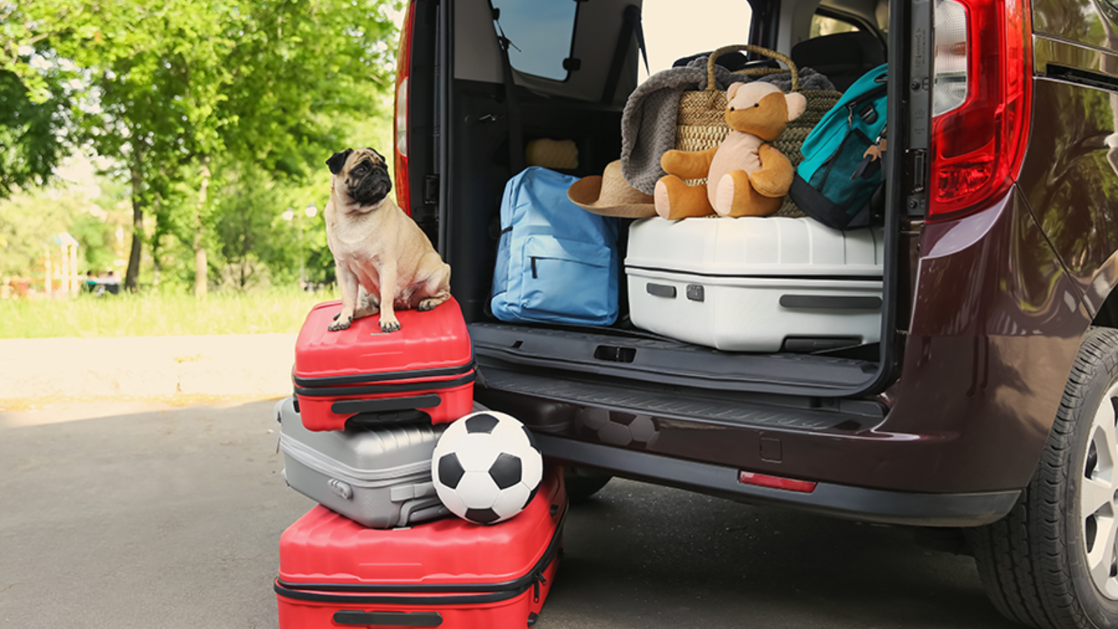Getting away from it all? Give your energy bill a vacation too!